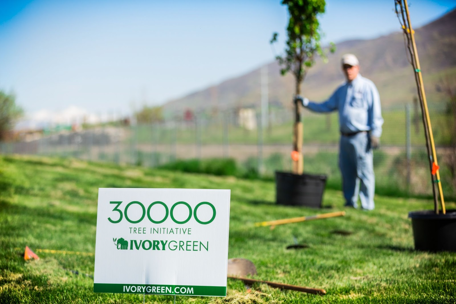 30000 Tree Initiative Update 